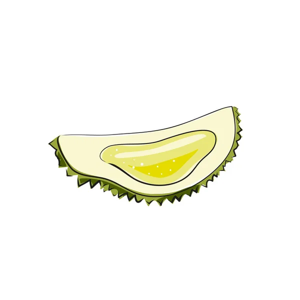 Ilustración Vectorial Dibujada Mano Fruta Boceto Exótica Durian Tropical — Archivo Imágenes Vectoriales