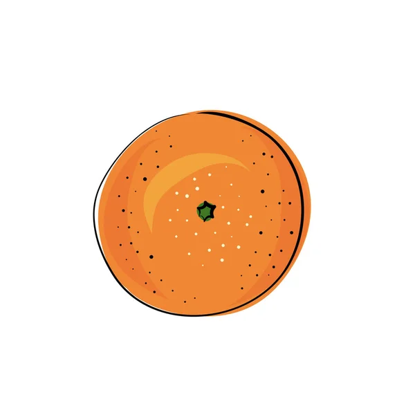Illustration Vectorielle Des Contours Juteux Isolés Des Fruits Colorés Mandarine — Image vectorielle