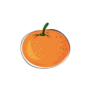 Sulu, izole edilmiş renkli meyvelerin vektör çizimi - mandalina, mandalina. Dilimle ve bütünle