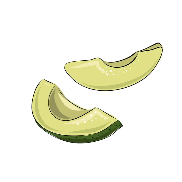 Vector Set Hand Drawn Slice Whole Avocado Food Vector Illustration — Stock Vector