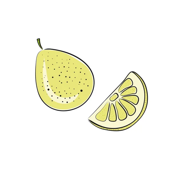 Pomelo Fruta Plana Vector Ilustración Bosquejo Rebanadas Fruta Tropical Fresca — Vector de stock