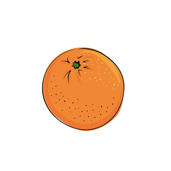 Vektor Illustration Saftig Isolerad Kontur Färgglada Frukt Mandarin Mandarin Skiva — Stock vektor