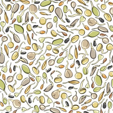 Tohumlar kusursuz bir şekilde büyüyor. Vektör çizimi. Geçmişi. Eskiz ve el yazısıyla çizilmiş mikroçerezler. Soya fasulyesi filizi, püre. Restoranlar, kafeler ve mutfaklar için sağlıklı ve sağlıklı vejetaryen yemekleri..