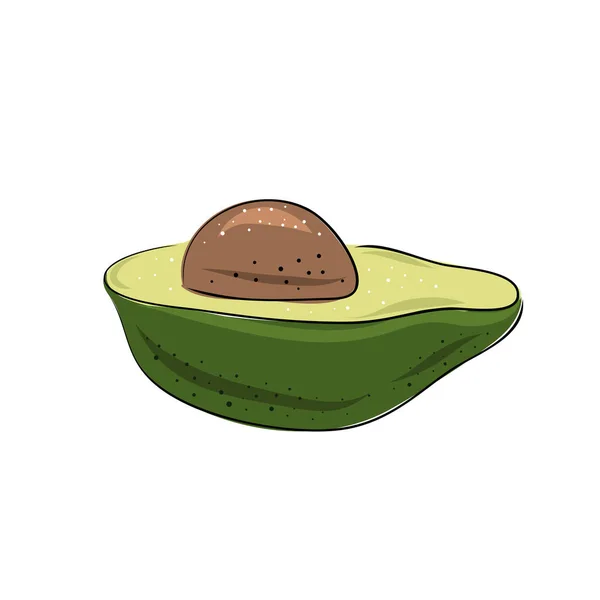 Conjunto Vectorial Rebanada Dibujada Mano Aguacate Entero Ilustración Del Vector — Vector de stock