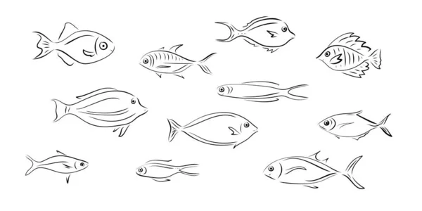 Conjunto vectorial de peces que representan varios animales marinos. Ilustración de peces lindo decorativo abstracto en el dibujo a mano o estilo de dibujos animados. Elementos de diseño gráfico para impresión y web. — Vector de stock