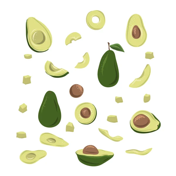 Vector set of hand drawn avocado. Food hand drawn vector illustration. Design for packaging, weddings, fabrics, textiles, wallpaper, website, postcards. — Stock Vector