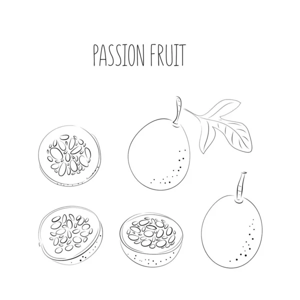 Conjunto de vectores de fruta de la pasión de línea negra, fruta de la pasión, maracuya colores púrpura. Trozos enteros y cortados sobre fondo blanco. — Vector de stock