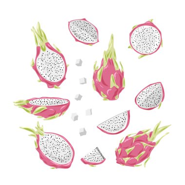 Ejderha meyve vektörü büyük küme çiziyor. El çizimi tropikal gıda çizimi. Pembe yaz ejderha meyvesi. Tam ve dilimlenmiş pitya. Etiket, meyve suyu ambalajı tasarımı ve menü için botanik klasik çizimi.