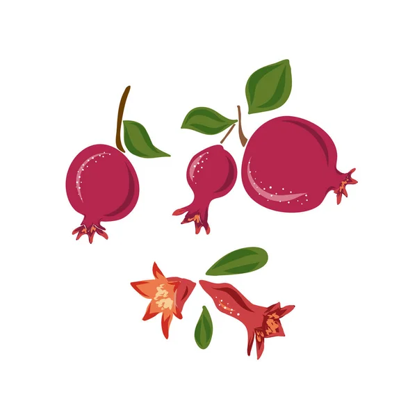 Romã madura vermelha e folhas tropicais ilustração vetorial sobre fundo rosa. Desenho à mão esboço verão arte — Vetor de Stock