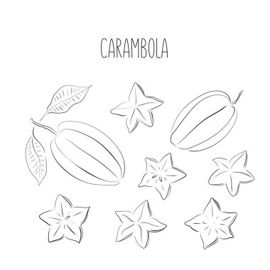 Carambola yıldızı meyvesi. Tam, dilimle, yaprak. Beyaz arka planda izole edilmiş tropikal meyvelerin siyah mürekkep eskiz koleksiyonu. Karalama el çizimi meyve ikonları. Vektör illüstrasyonu