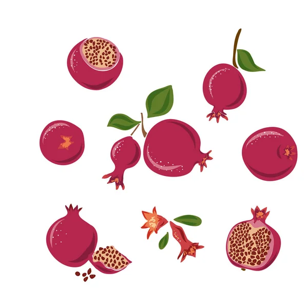 Rött moget granatäpple och tropiska blad vektor illustration på rosa bakgrund. Handritad skiss sommar konst — Stock vektor