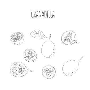 Tutku meyveleri, tutku meyveleri. El yapımı granadilla. Beyaz arkaplanda izole edilmiş vektör çizimi. Grafik bütünlüğü ve kesme parçaları. Logo veya simge için görüntü.