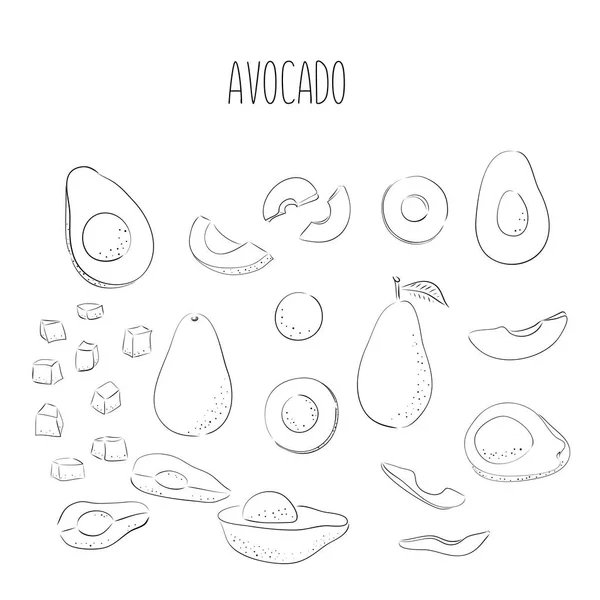 Conjunto vectorial de aguacate negro dibujado a mano. Alimento ilustración vectorial dibujado a mano. Diseño para embalaje, bodas, telas, textiles, papel pintado, sitio web, postales. — Vector de stock