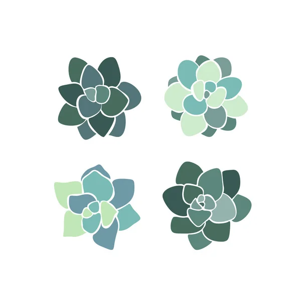 Vacker set samling med grön och lila saftig kaktus handritad ovanifrån för dekoration design. Vektormall. Isolerad illustration — Stock vektor