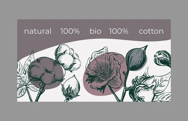 Σκιτσάρω κάρτα σκίτσο λουλούδι βαμβάκι για το σχεδιασμό διακόσμησης.Φύση διάνυσμα φόντο. Ευχετήρια κάρτα εικονογράφηση. Κομψή διακόσμηση. Κλασσικό στυλ. Διακοσμητικό σύμβολο — Διανυσματικό Αρχείο