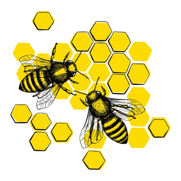 Templat sketsa lebah hitam dalam gaya modern pada latar belakang putih. Musim panas makanan organik alami. Seni garis. - Stok Vektor