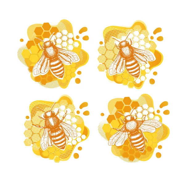 白色背景的现代风格的黄蜂素描模板。夏季天然有机食品。线条艺术. — 图库矢量图片