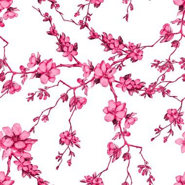 Süslü suluboya desenli ve güzel kiraz dalları var. Bahar çiçeği izi. Tek renkli doğa arkaplanı.