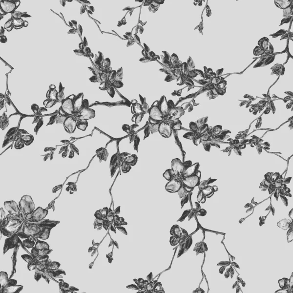 Διακοσμητικό Υδατογραφία Αδιάλειπτη Μοτίβο Όμορφα Κλαδιά Κεράσι Σπρινγκ Floral Μονόχρωμο — Φωτογραφία Αρχείου