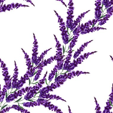 Suluboya desenli, elle çizilmiş çiçekler. Lavander. Herhangi bir amaç için parlak bahar ya da yaz baskısı. Dekoratif çiçek deseni. Renkli doğa arkaplanı.