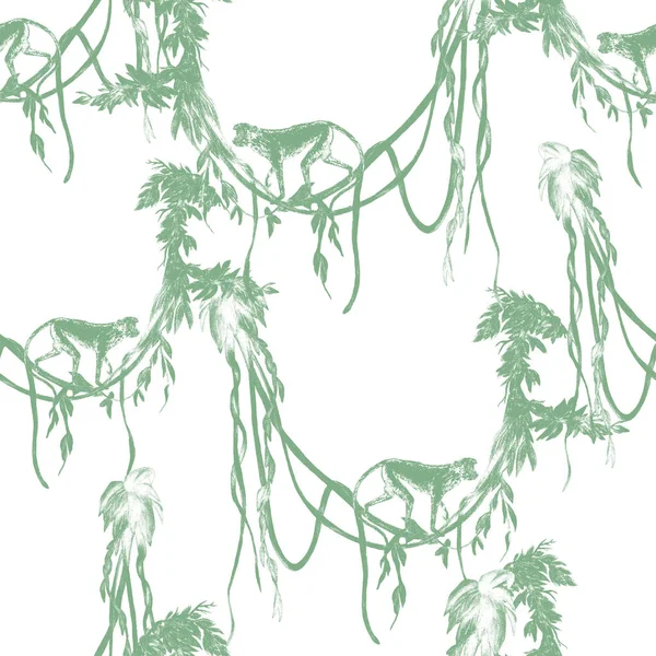 Creatief Naadloos Patroon Met Apen Tropisch Bos Monochrome Dierenprint Voor — Stockfoto