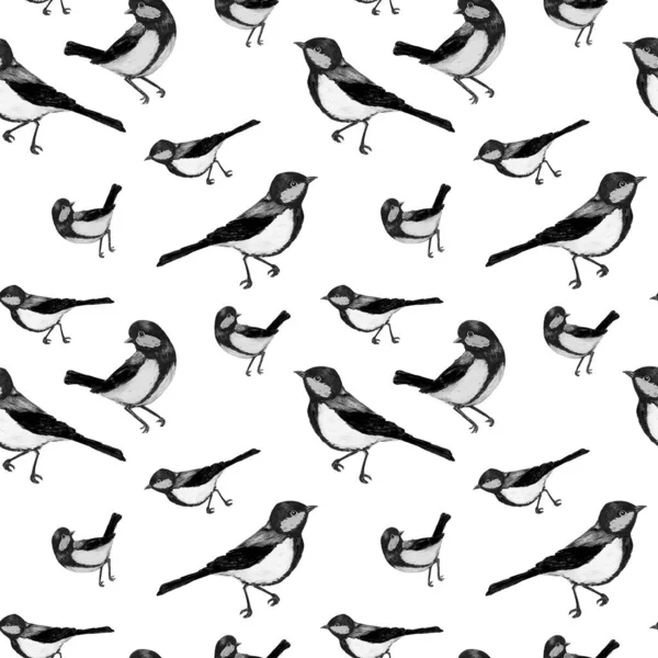 Decoratieve Naadjes Patroon Met Bosvogels Zittend Tomtits Monochrome Dierlijke Afdruk — Stockfoto