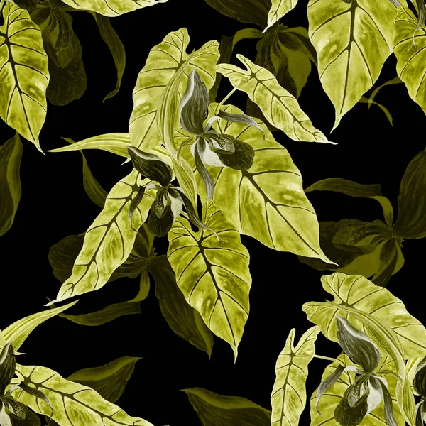 Акварель Квітковий Безшовний Батьківський Тропічними Квітами Орхідей Чорному Екзотичний Квітковий — стокове фото