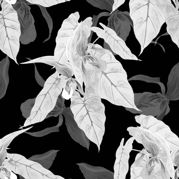 Акварель Безшовний Батьківський Тропічними Квітами Орхідей Екзотичний Квітковий Принт Чорно — стокове фото