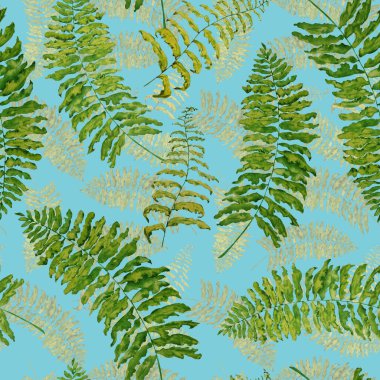 Hawaii çiçeksiz, suluboya tropikal yapraklı bir baba. Eğrelti. Egzotik bahar ya da yaz doğa geçmişi. Herhangi bir tasarım için renkli doku.