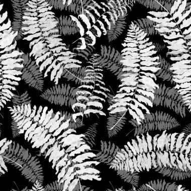 Hawaii çiçeksiz, suluboya tropikal yapraklı bir baba. Eğrelti. Egzotik bahar ya da yaz doğa geçmişi. Herhangi bir tasarım için Siyah Beyazel dokusu.