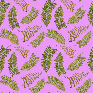 Hawaii çiçeksiz, suluboya tropikal yapraklı bir baba. Eğrelti. Egzotik bahar ya da yaz doğa geçmişi. Herhangi bir tasarım için renkli doku.