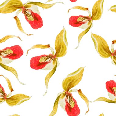 Çiçeksiz suluboya çiçek ve tropik orkide çiçekleri. Egzotik çiçek deseni. Renkli bahar ya da yaz doğa arka planı.