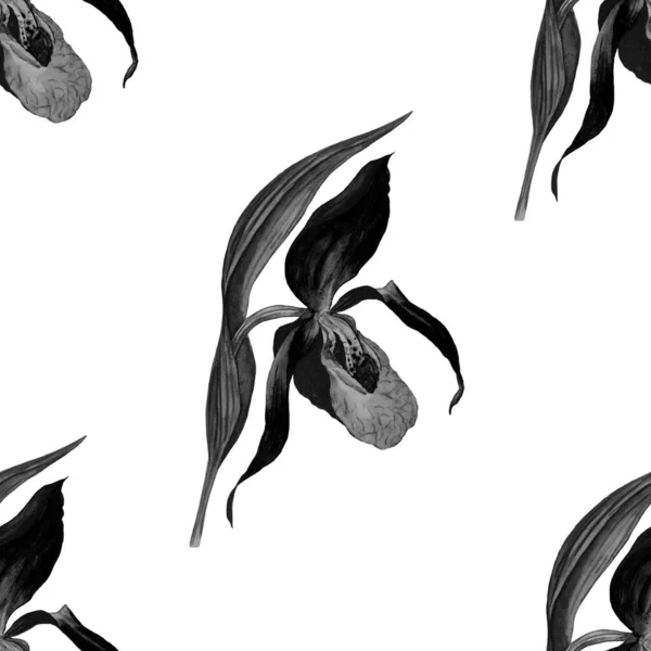 Patrão Sem Costura Floral Aquarela Com Flores Orquídeas Tropicais Impressão — Fotografia de Stock