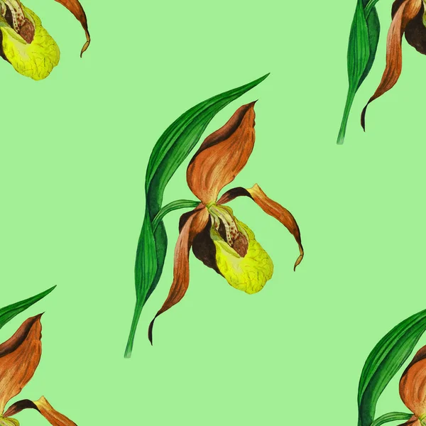 Patrão Sem Costura Floral Aquarela Com Flores Orquídeas Tropicais Impressão — Fotografia de Stock