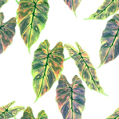 Hawaiian floral seamless patern with watercolor tropical leaves. Maranta. Fern. Exotic  spring or summer nature background. Colorful texture for any kind of a design.