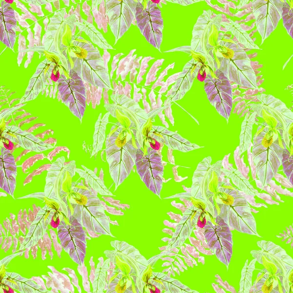 Hawaiian Floral Seamless Patern Watercolor Tropical Leaves Maranta Fern Exotic — Stockfoto