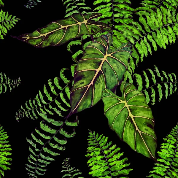 Hawaiian Blommig Sömlös Patern Med Akvarell Tropiska Blad Svart Maranta — Stockfoto