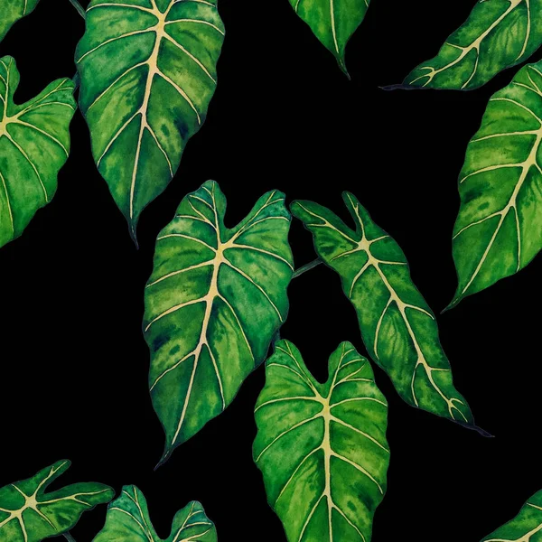 夏威夷植物无缝的家长式花 水彩斑斓的热带叶呈黑色 马兰塔费恩异国情调的春夏自然背景 任何一种设计的色彩丰富的纹理 — 图库照片