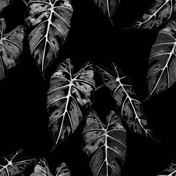 Гавайські Квіткові Безшовні Патерни Акварельним Тропічним Листям Маранта Ферн Екзотична — стокове фото