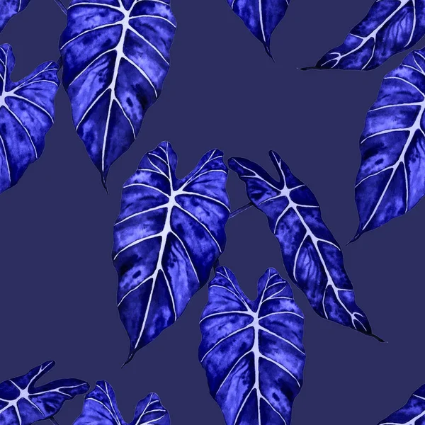 夏威夷植物无缝家长与水彩斑斓的热带叶子 马兰塔费恩异国情调的春夏自然背景 任何一种设计的单色纹理 — 图库照片