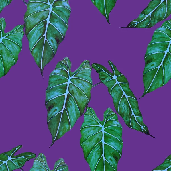 夏威夷植物无缝家长与水彩斑斓的热带叶子 马兰塔费恩异国情调的春夏自然背景 任何一种设计的色彩丰富的纹理 — 图库照片