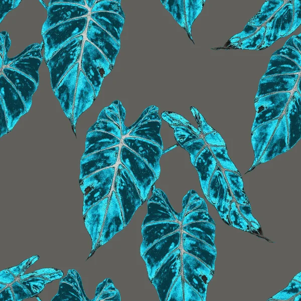 夏威夷植物无缝家长与水彩斑斓的热带叶子 马兰塔费恩异国情调的春夏自然背景 任何一种设计的色彩丰富的纹理 — 图库照片