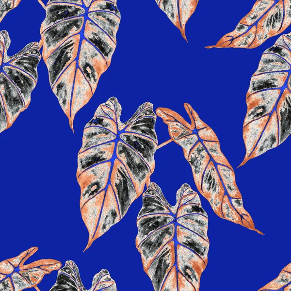 Hawaiian Floral Seamless Patern Watercolor Tropical Leaves Maranta Fern Exotic — ストック写真