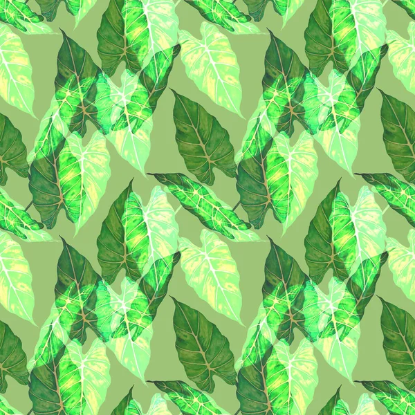 Гавайская Бесшовная Цветочная Патерна Акварельными Тропическими Листьями Маранта Ферн Экзотический — стоковое фото