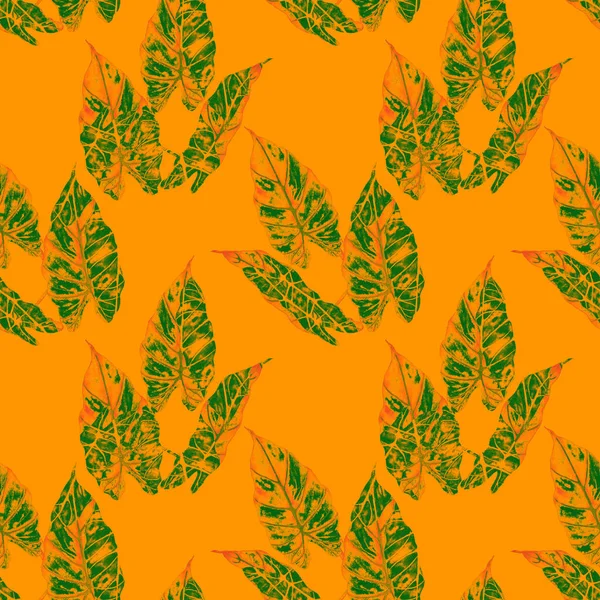 Гавайская Бесшовная Цветочная Патерна Акварельными Тропическими Листьями Маранта Ферн Экзотический — стоковое фото