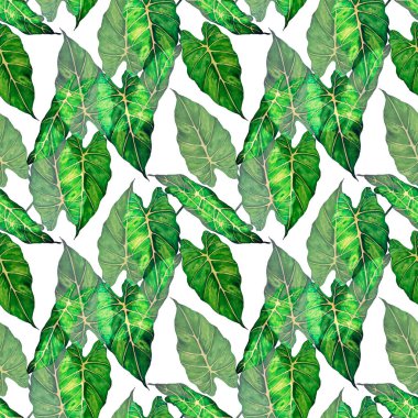 Hawaiian floral seamless patern with watercolor tropical leaves. Maranta. Fern. Exotic  spring or summer nature background. Colorful texture for any kind of a design.