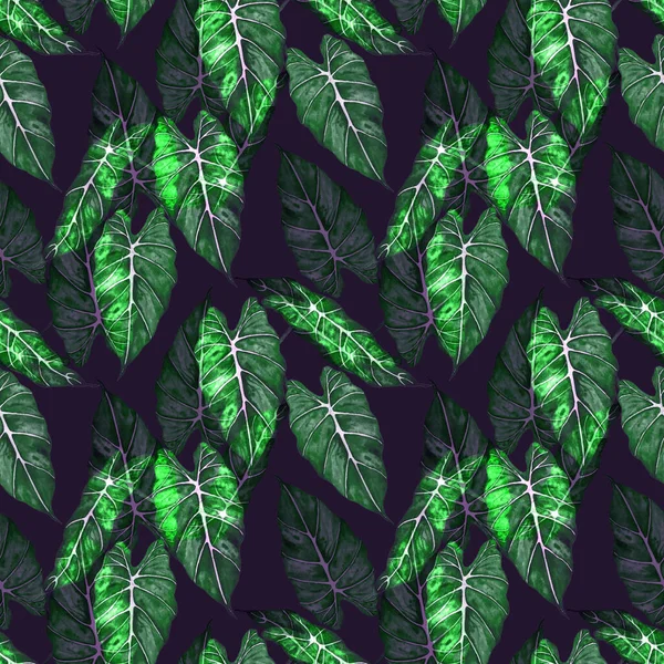 Hawaiian Floral Seamless Patern Watercolor Tropical Leaves Maranta Fern Exotic — Stockfoto