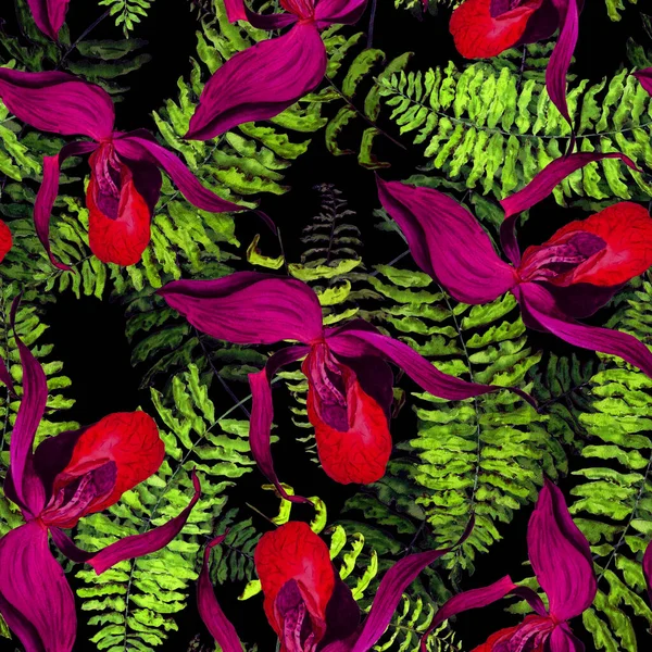 Patrão Sem Costura Floral Aquarela Com Flores Orquídeas Tropicais Samambaias — Fotografia de Stock