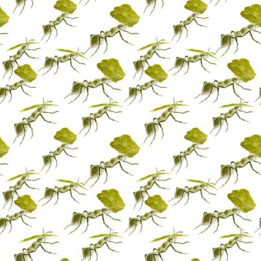 Çalışan karıncalarla suluboya kusursuz desen. Herhangi bir tasarım için hayvan baskısı.