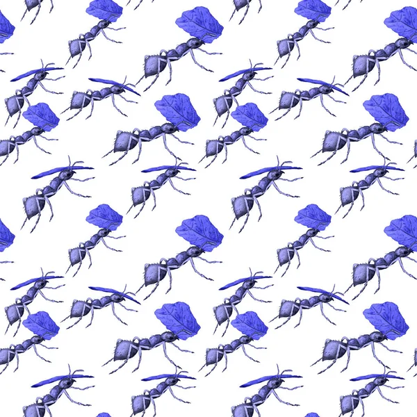 Aquarell Nahtloses Muster Mit Arbeitenden Ameisen Animal Print Für Jede — Stockfoto